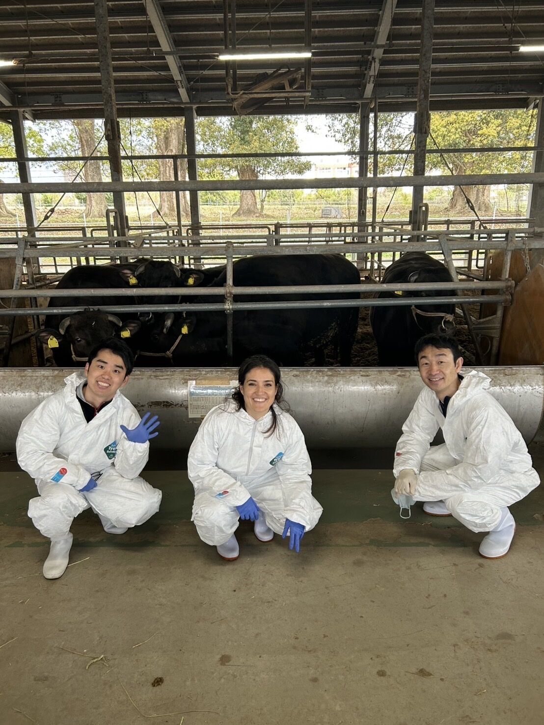 UK–Japan Academic Cooperation